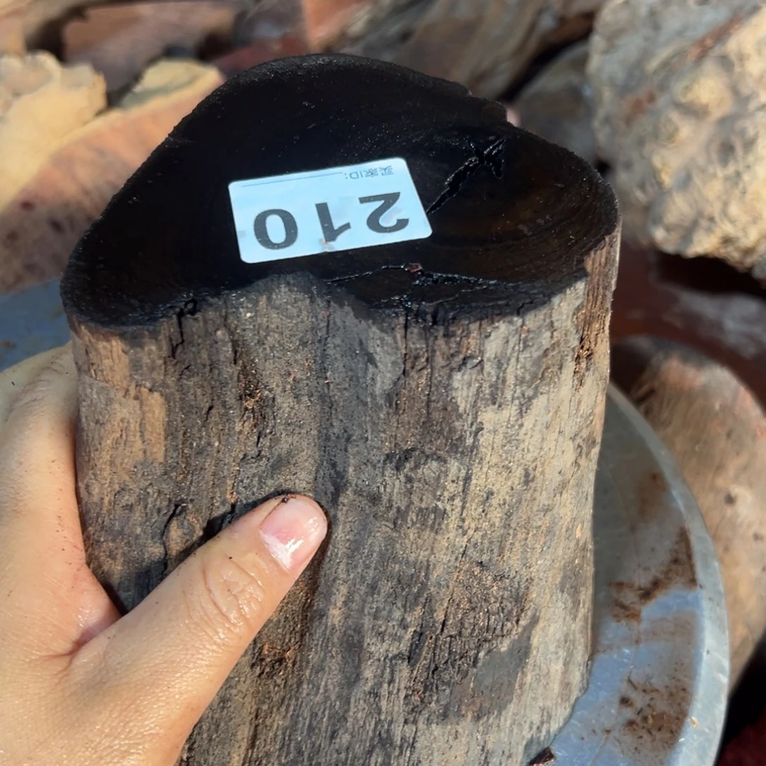 大果紫檀（缅甸花梨）