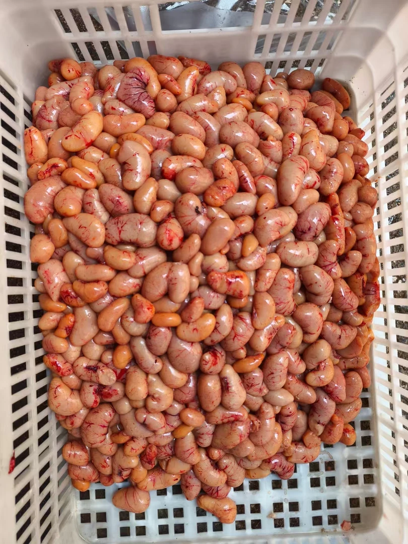 [双12特惠]广西大化（包新鲜）批发公鸡春鸡子新鲜公鸡蛋