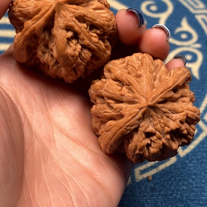 文玩核桃吊坠粗筋