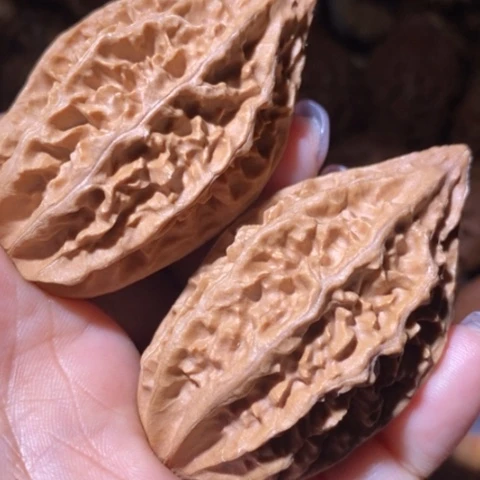 文玩核桃把件东北野生楸子小美118