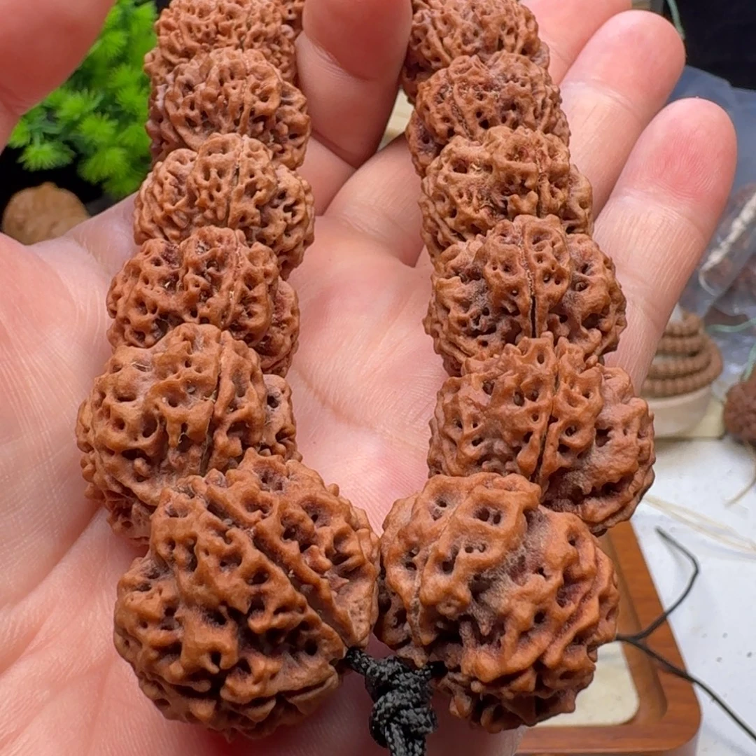 手串金刚菩提蜂王