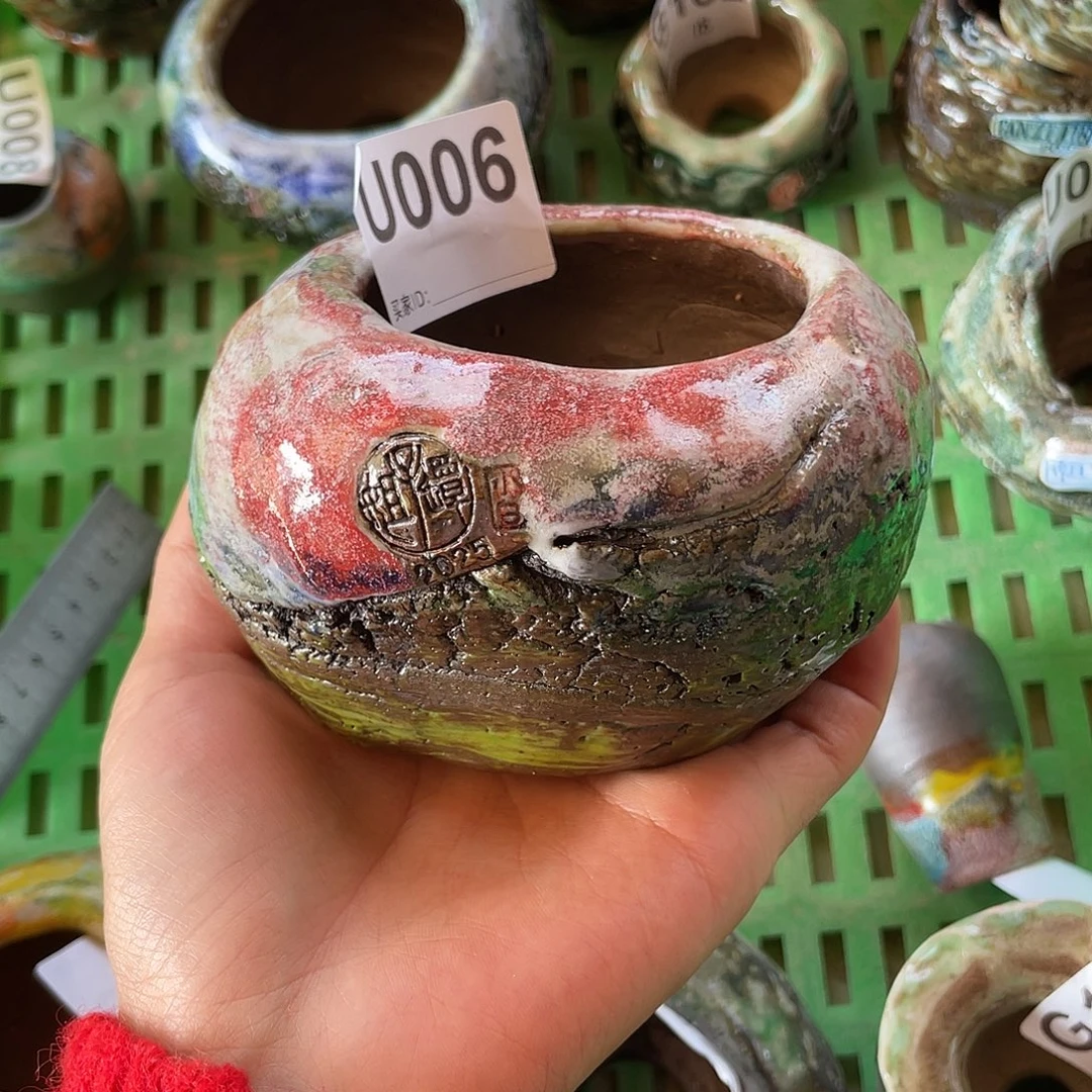 坛子姐花盆 小白孤品 蛋壳 内口6.5左右 百搭