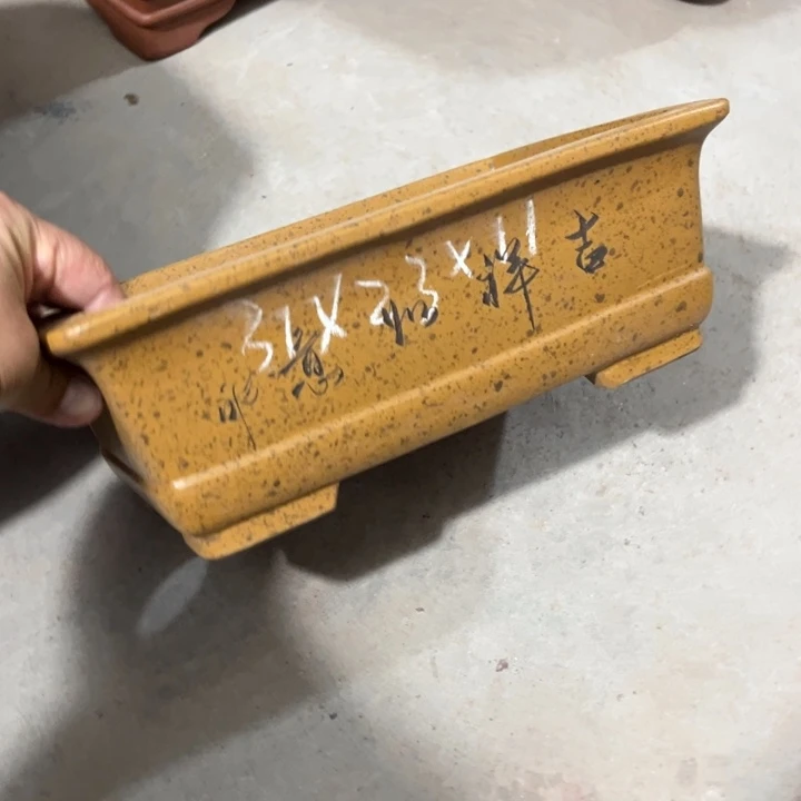 紫砂花盆宜兴紫砂