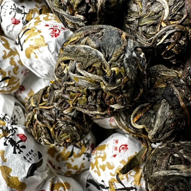 【荒野千家寨古树茶】哀牢山秘境古树茶龙珠头春茶超甜