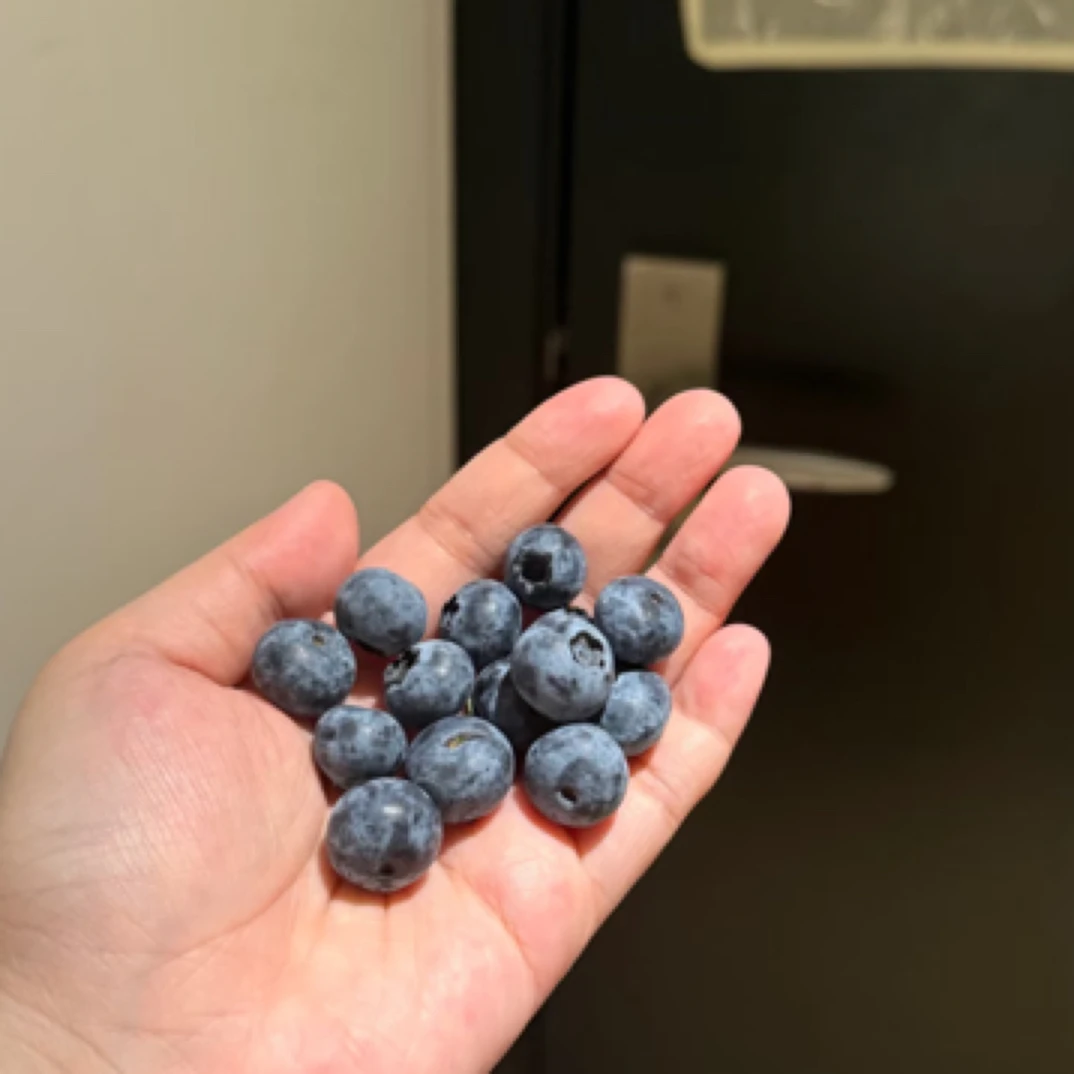 【当季鲜货】蓝莓250g香甜口感好15mm-17mm山东省