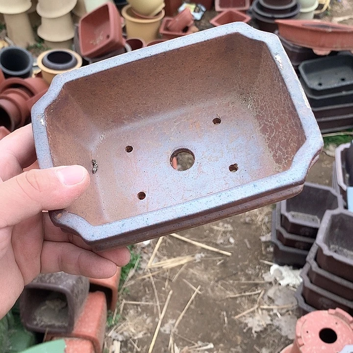 紫砂没有你喜欢吃辣不