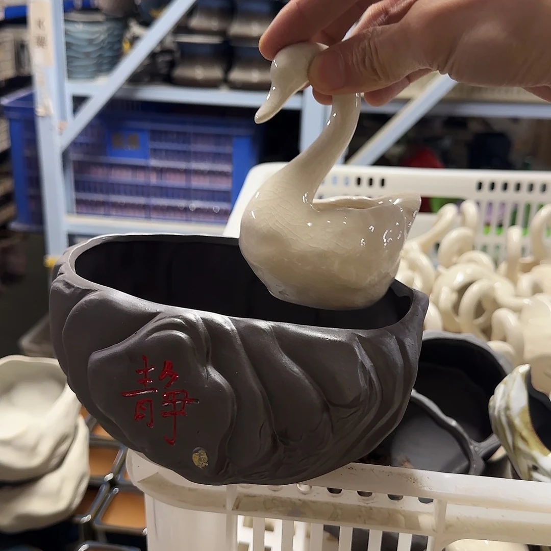 盆+天鹅福利局绿植多肉盆［凑9元包邮24小时发］