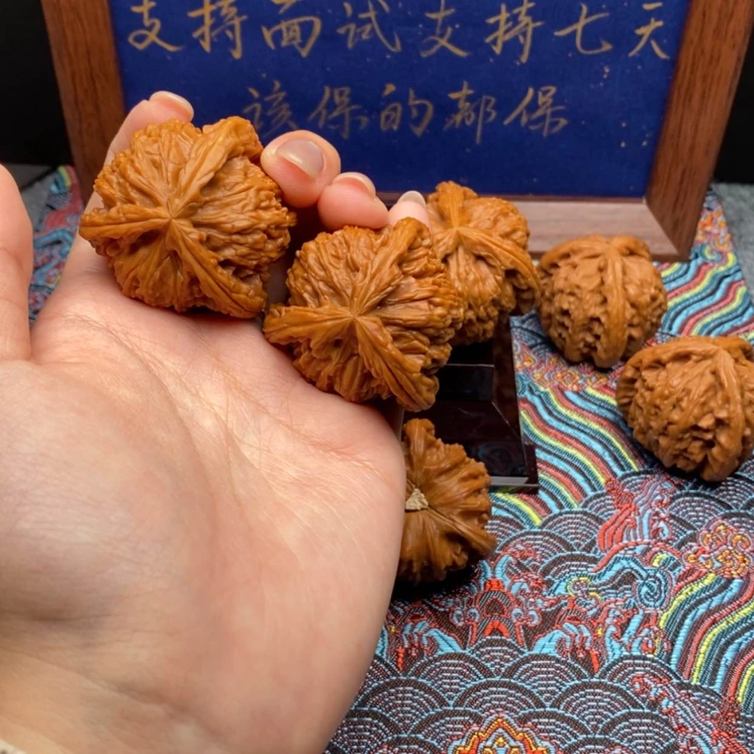 【闪购商品】L*Y白狮子1111111