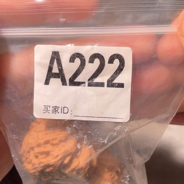 文玩核桃把件冰***娃222白狮子