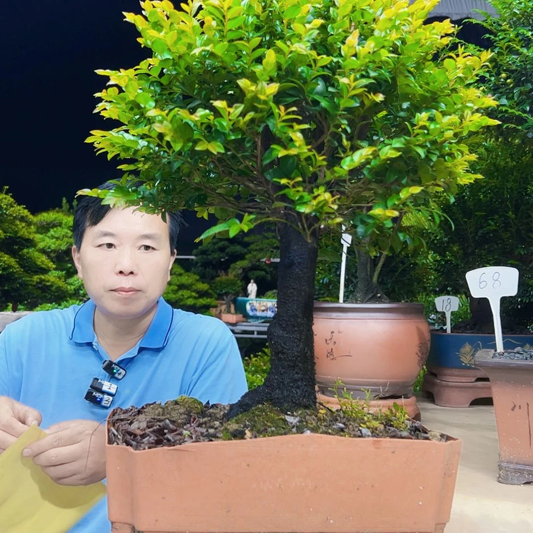 无花朵學**齋秀明园艺秀明国艺