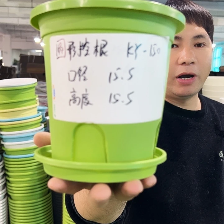 正品圆控口15高15果绿色10个带托