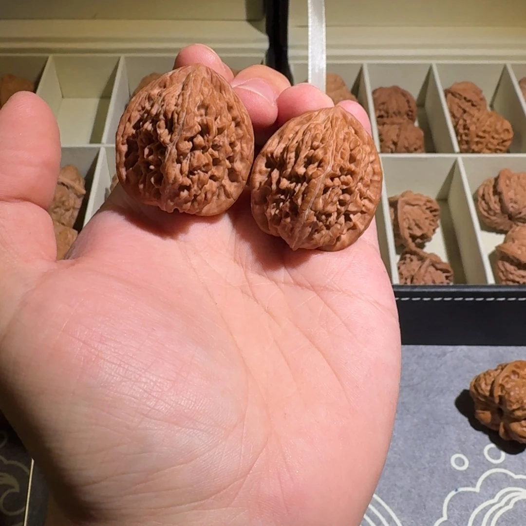 大叶紫檀（黑酸枝木类）