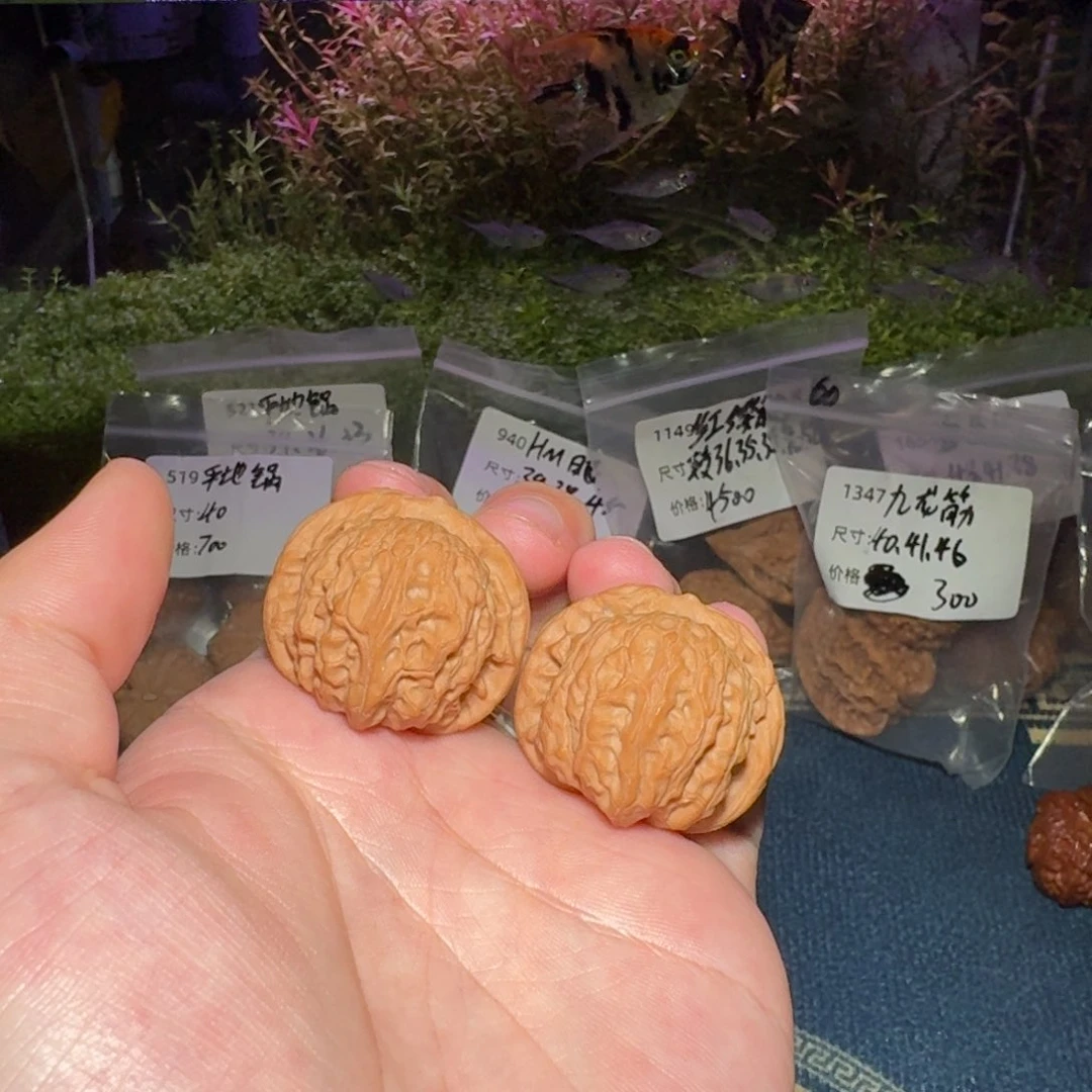 857号35乾隆磨文玩核桃