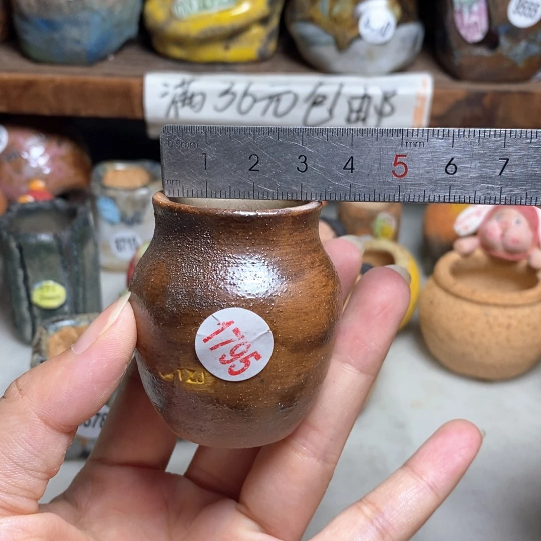 拍5送一个小礼物