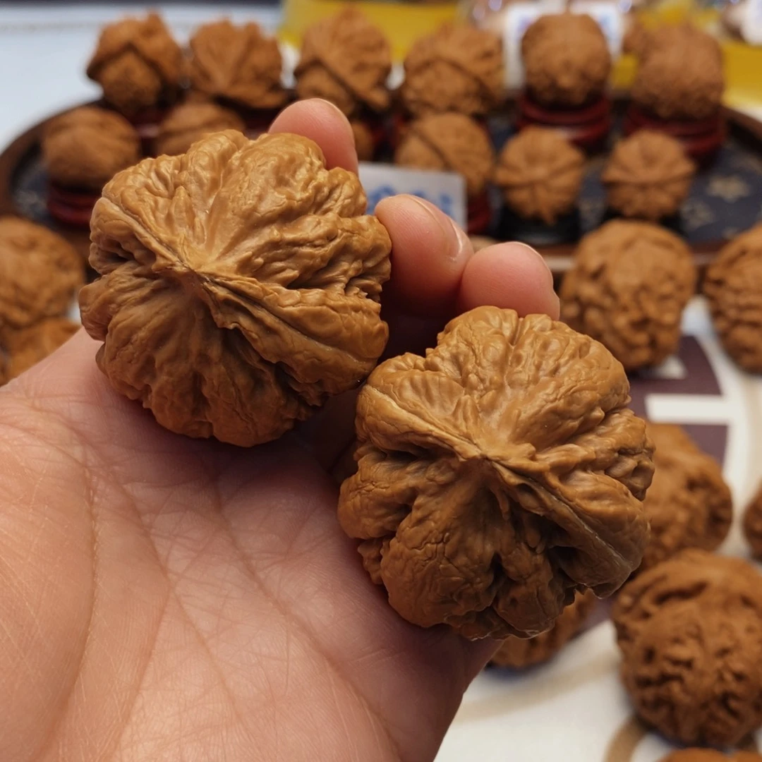 文玩核桃吊坠五**门霸王龙43尺