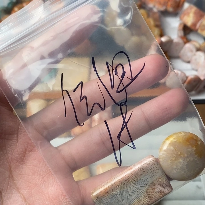 伝***迴硅化玉未镶嵌珊瑚玉