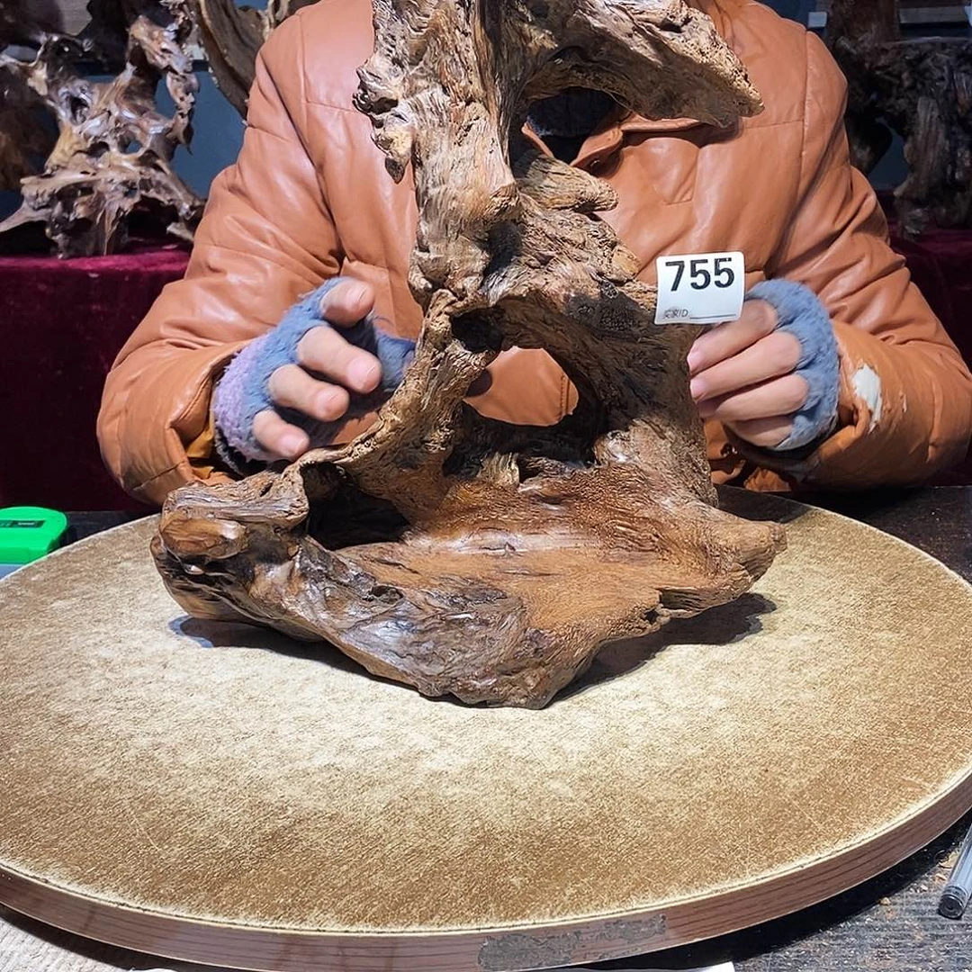 成***禅755。株木随行根艺