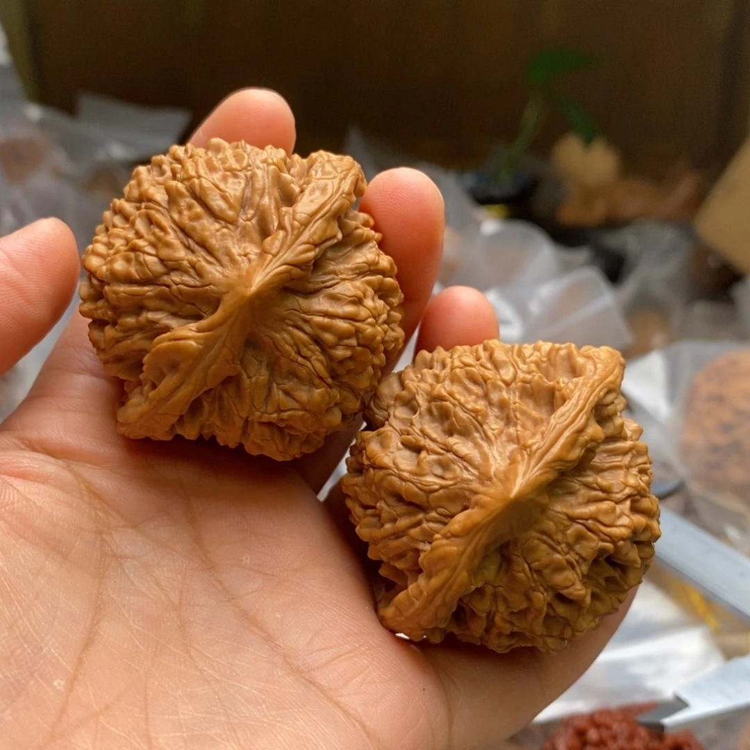 文玩核桃把件老树麒麟49尺