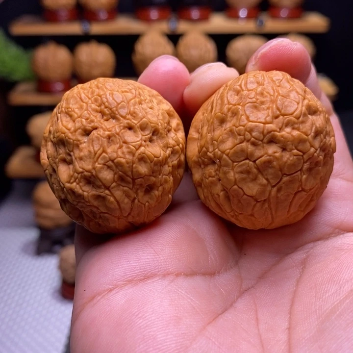 核桃云铁金丝绣球18号