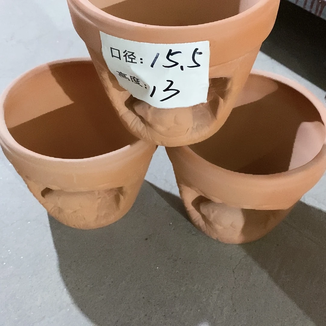 谷***儿瑕疵3只老鼠