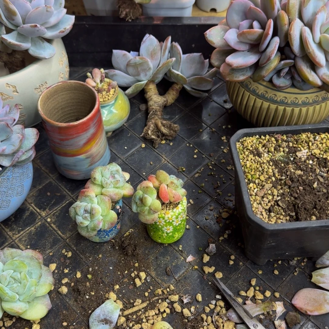 L***L哈哈哈哈哈哈哈哈哈哈