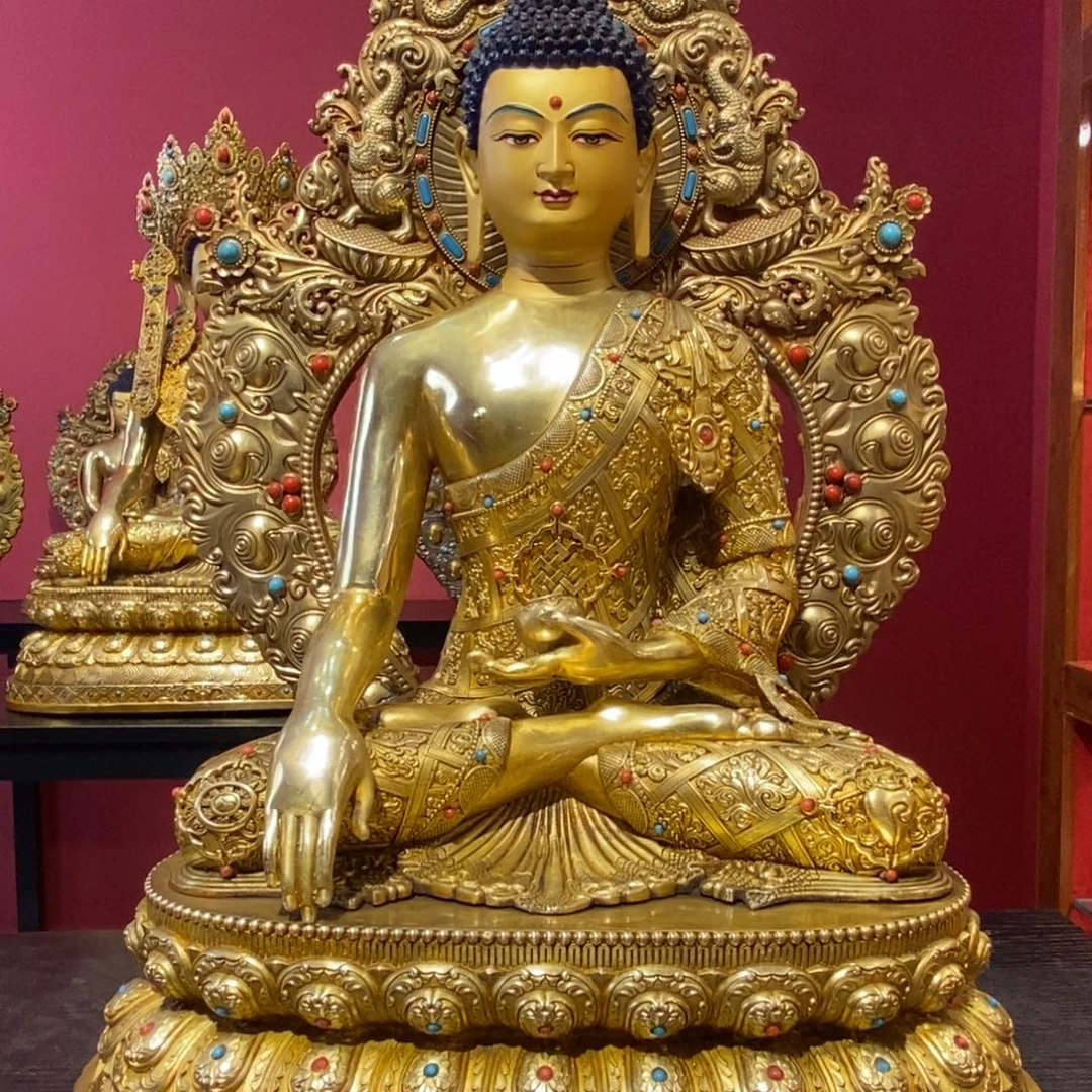 P***D铜11111111师兄111111