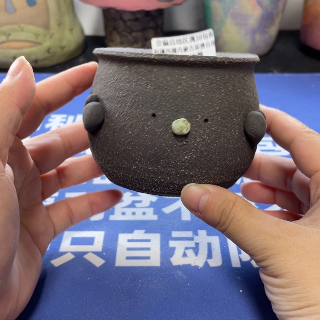 特价微瑕疵不退不换哦410