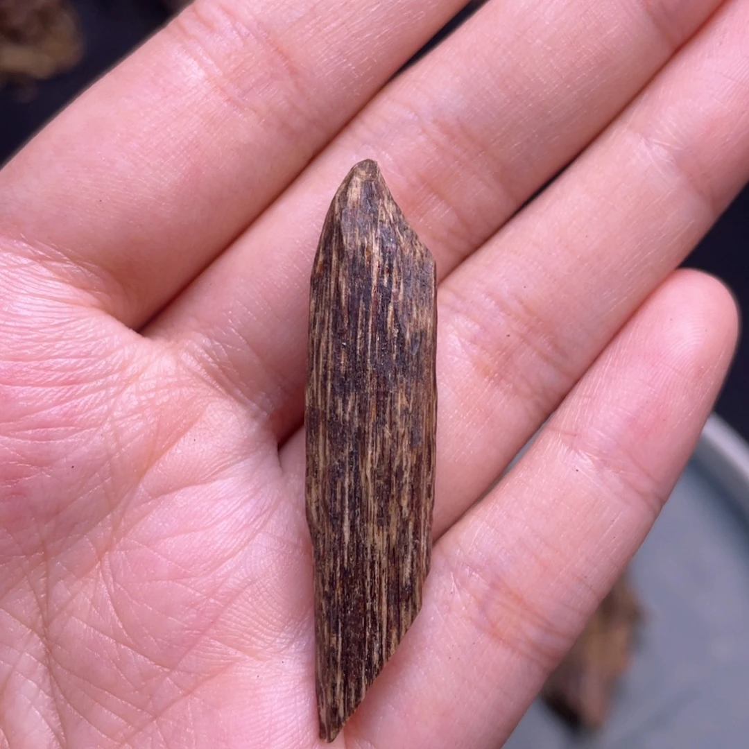香榧木2克海南大山顶级沉水白棋