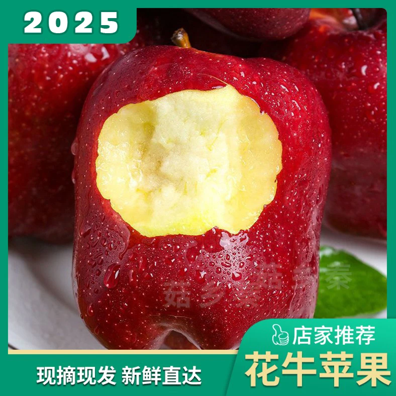 【现摘现发】2025新鲜应季水果蛇果新果甘肃天水花牛苹果粉面3-10斤