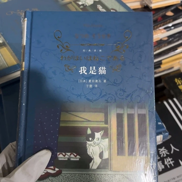 我是猫 闪购闪购10
