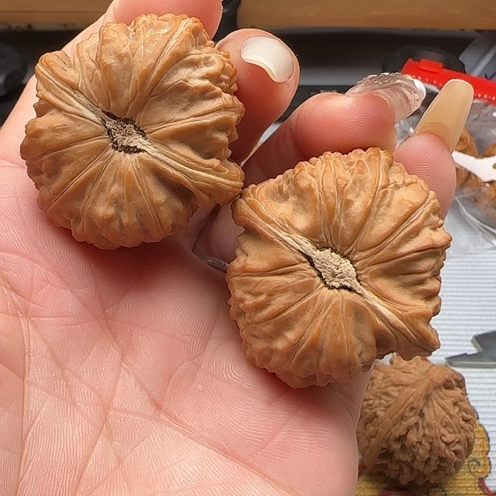 把件文玩核桃卡姿兰