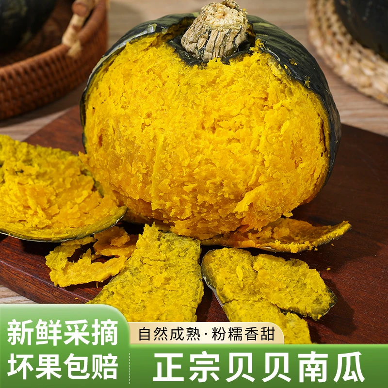 真贝贝南瓜正宗惠和一号新鲜板栗味香甜粉糯南瓜宝宝辅食粗粮饱腹