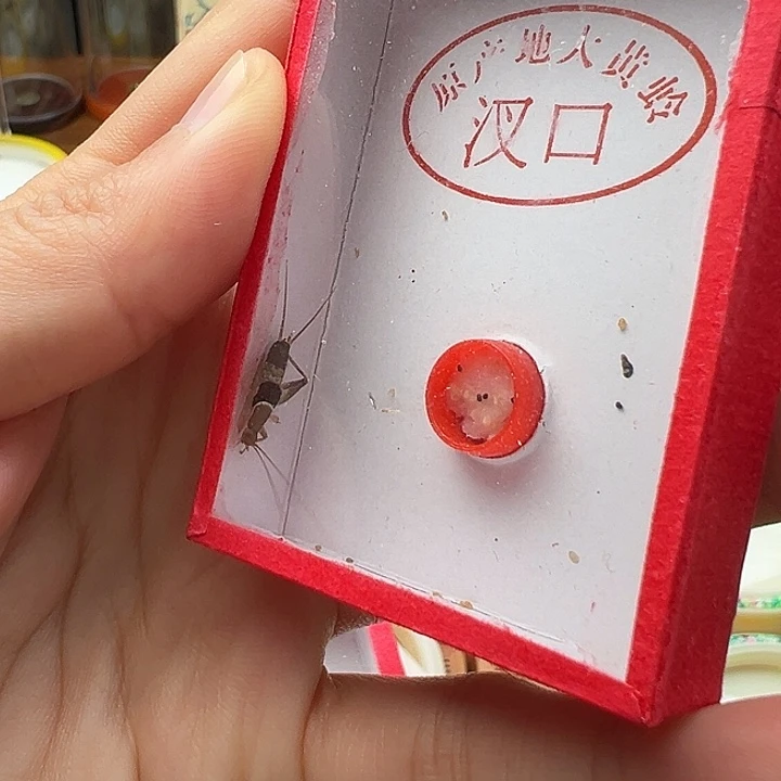 水墨仙子一只包邮