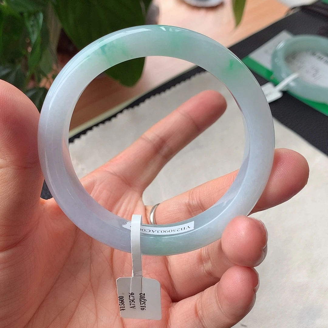 龙***嘉未镶嵌手镯翡翠2号