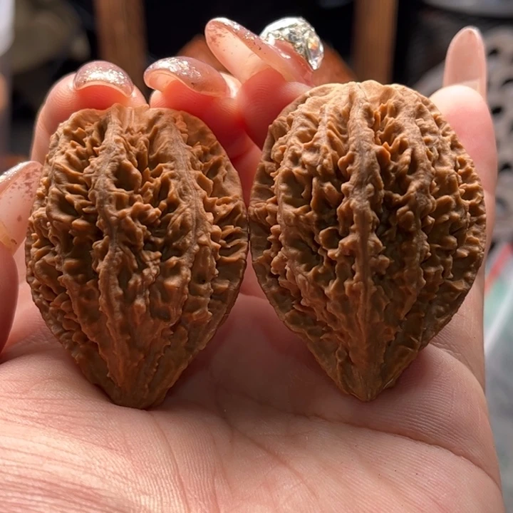 文玩核桃把件楸大胖4公斤