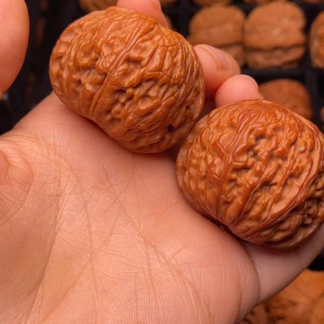 秦岭野生文玩核桃