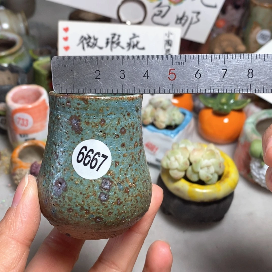 拍5送一个小礼物＇花盆