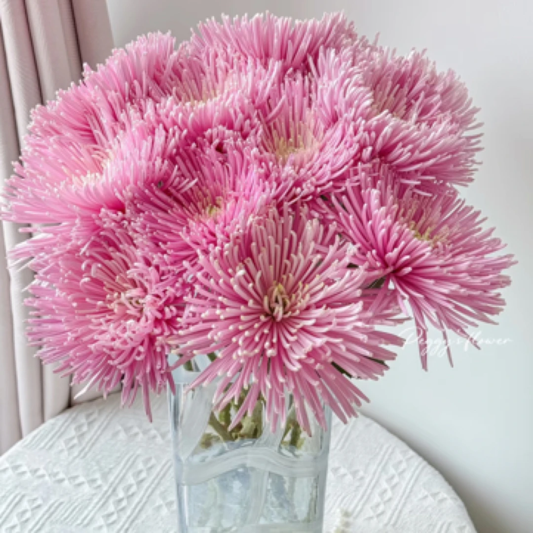 【自家种的】粉色烟花菊10枝-1单中通 3单京东（20%不售后）
