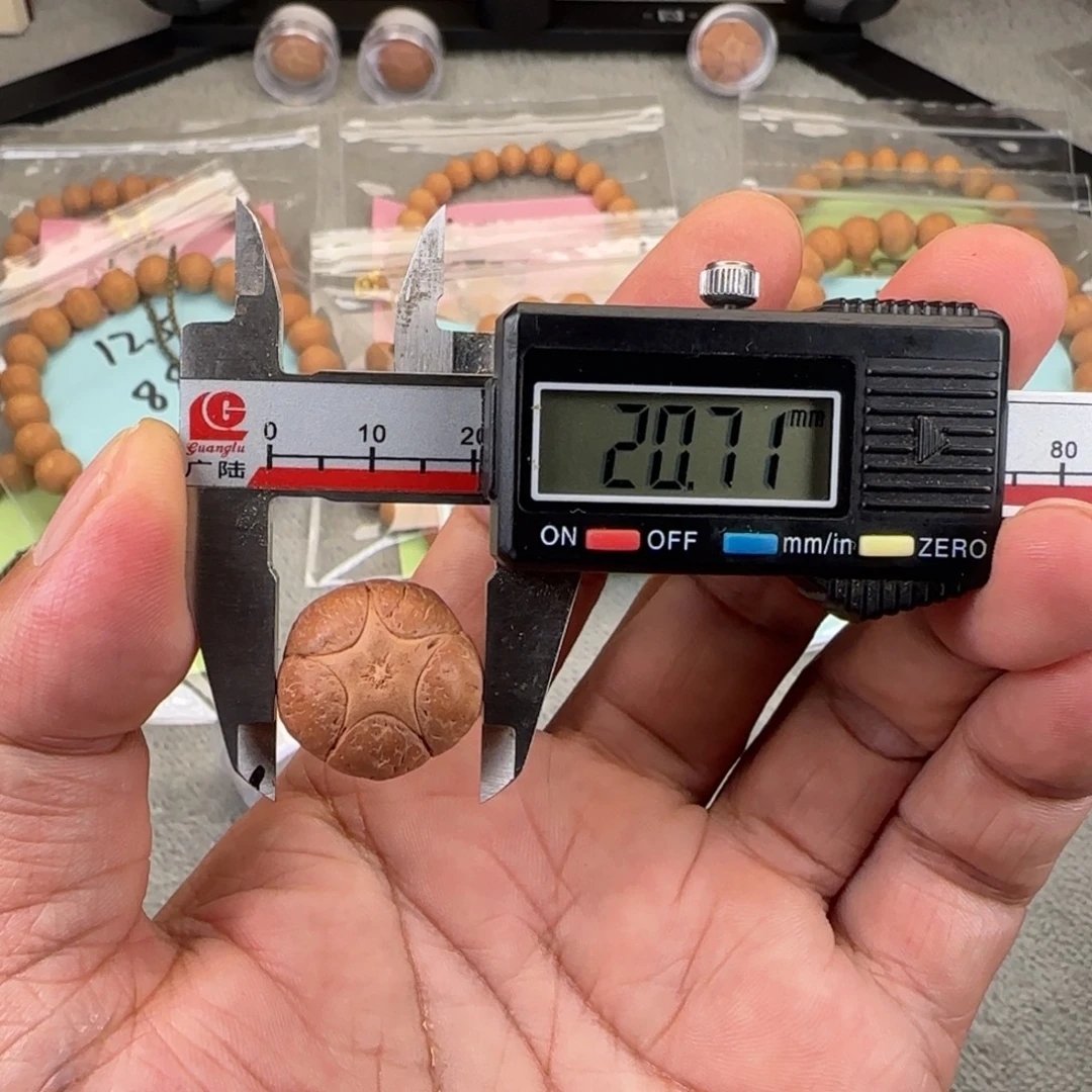 吊坠凤眼菩提20.7尺寸五星