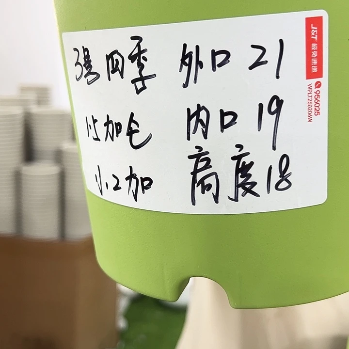 四季3号特价混色10个无托