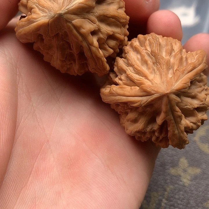 哥哥哥哥哥哥哈哈哈哈