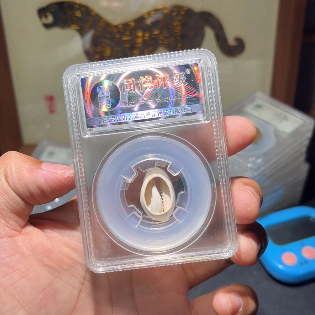 铜贝币古珍福利77777777777777