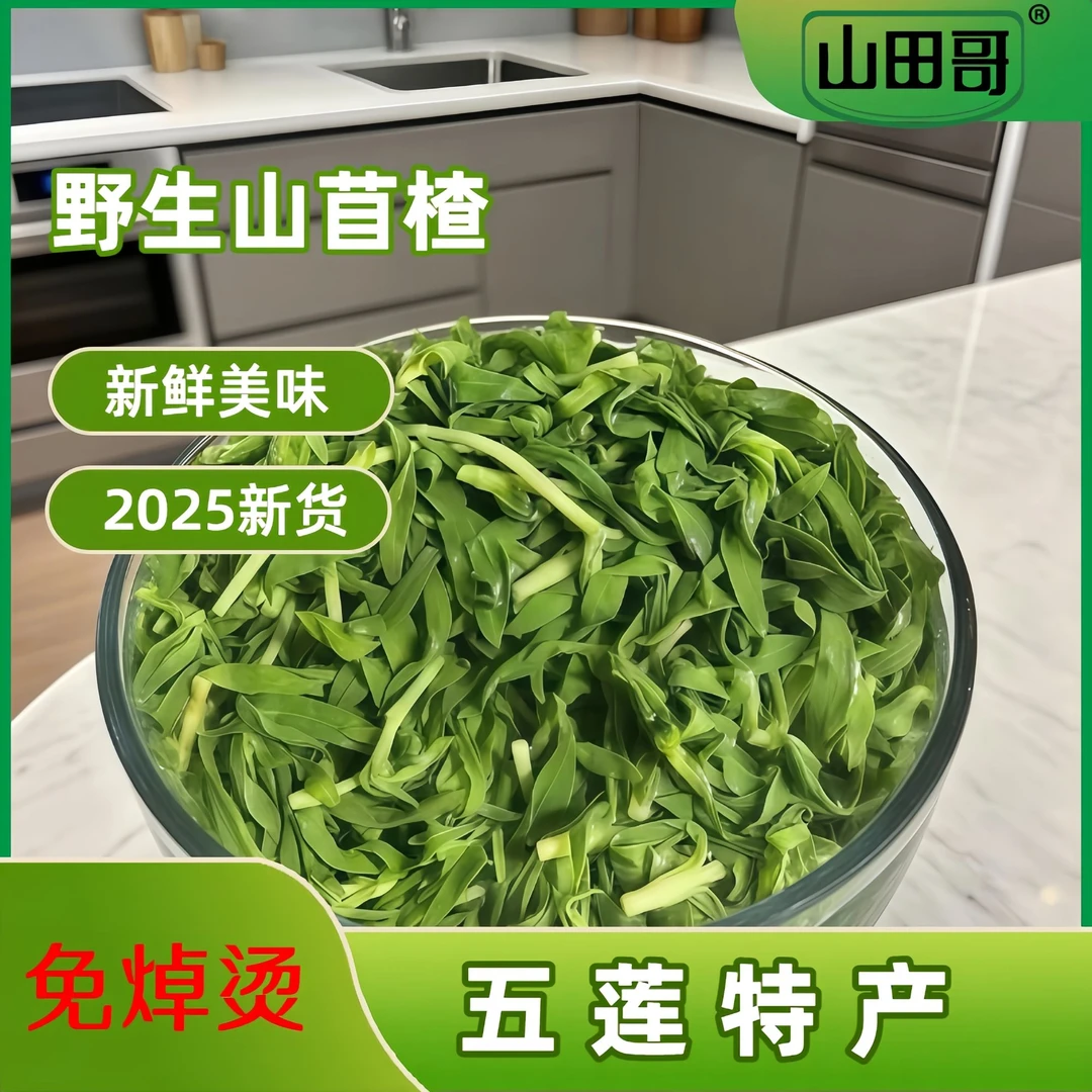 胶东山菜五莲山菜山苜楂山麻楂菜长蕊石头花免焯烫净菜