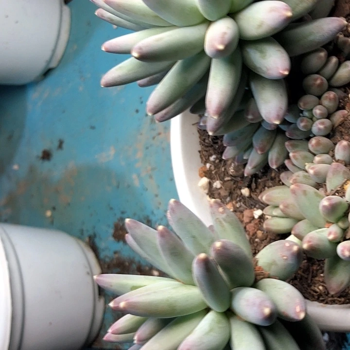 雨*59:///////////////////