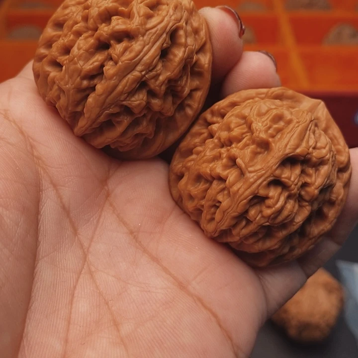 核桃红锦鲤40尺核桃