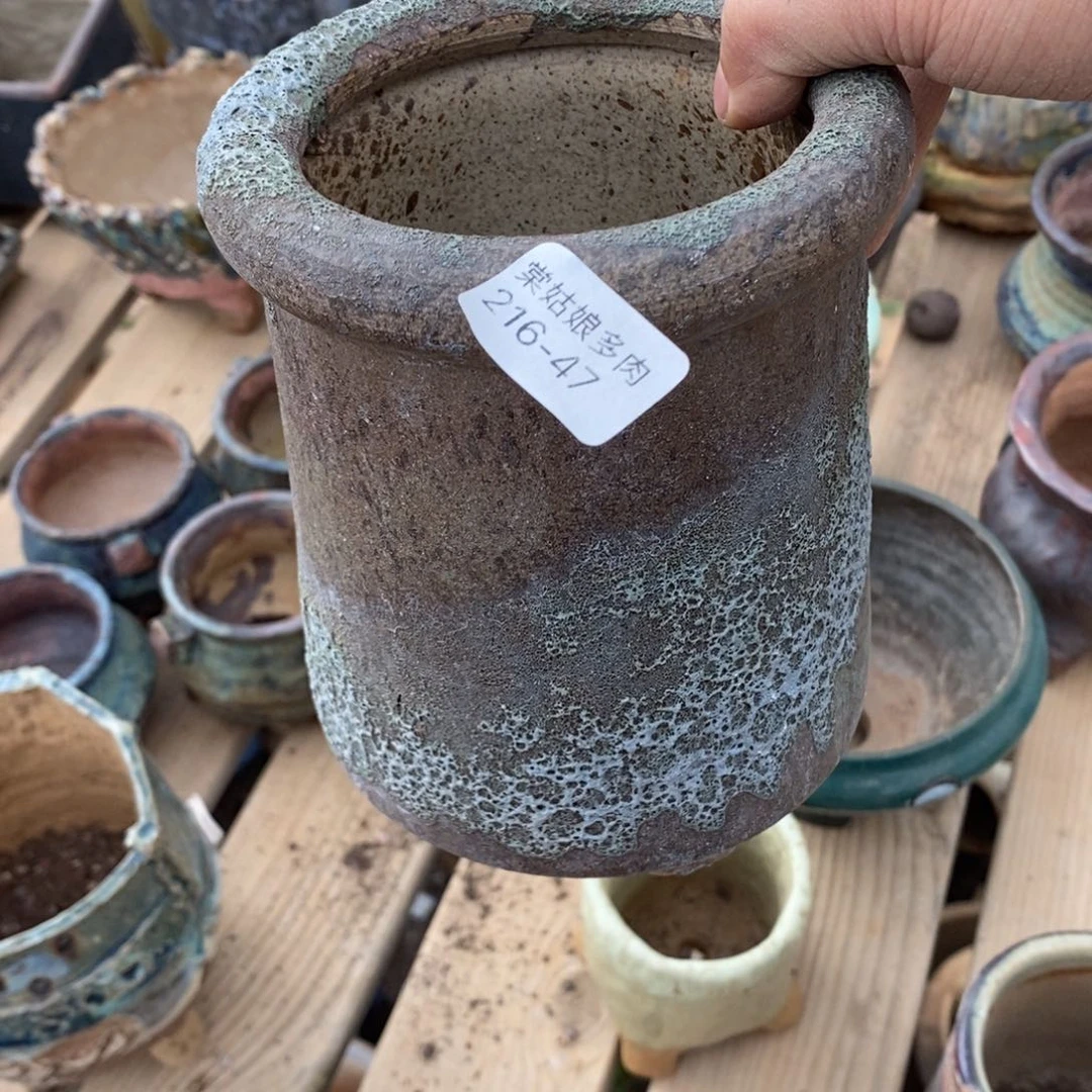 红陶唐*儿47号多肉盆一个呀