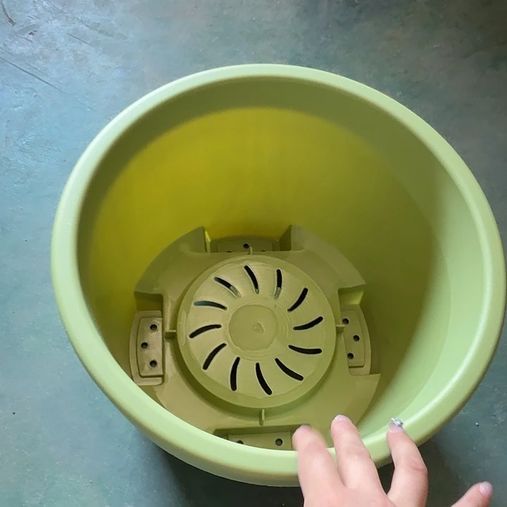 球根盆4号果绿无托5个