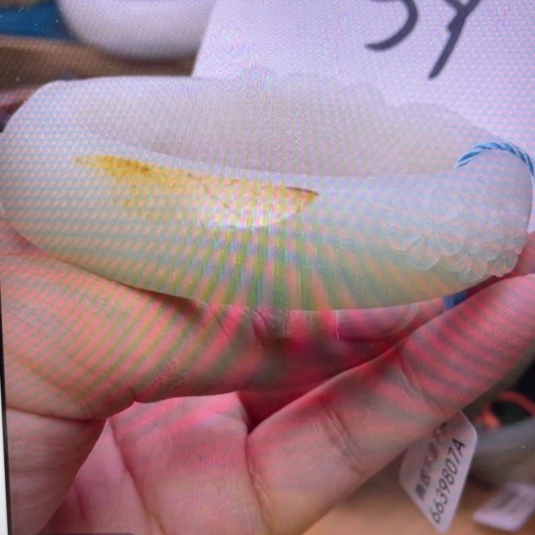 七***雪和田玉手镯未镶嵌