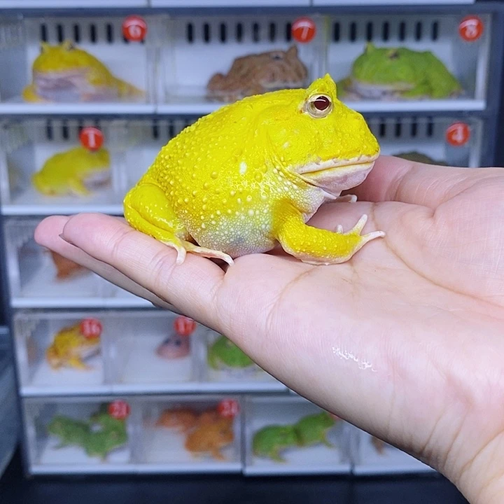 特价秒杀特价原价