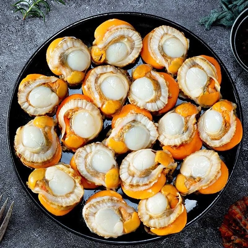 【冷链速发拍一到手5斤扇贝】大号扇贝带黄带膏新鲜冷冻扇贝